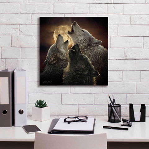 Image of 'Wolf Trinity' by Collin Bogle, Canvas Wall Art,18x18