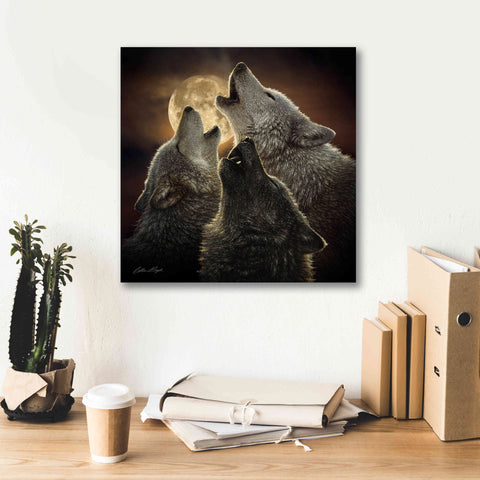 Image of 'Wolf Trinity' by Collin Bogle, Canvas Wall Art,18x18