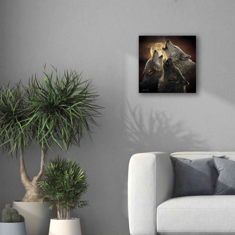 Image of 'Wolf Trinity' by Collin Bogle, Canvas Wall Art,18x18