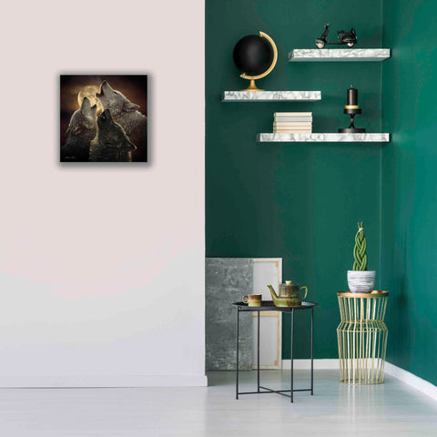 Image of 'Wolf Trinity' by Collin Bogle, Canvas Wall Art,18x18