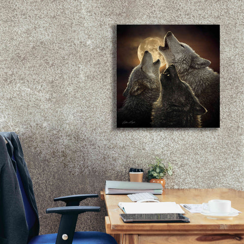 Image of 'Wolf Trinity' by Collin Bogle, Canvas Wall Art,26x26