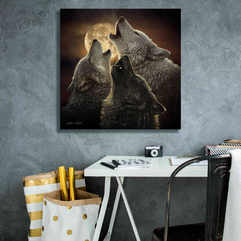 Image of 'Wolf Trinity' by Collin Bogle, Canvas Wall Art,26x26