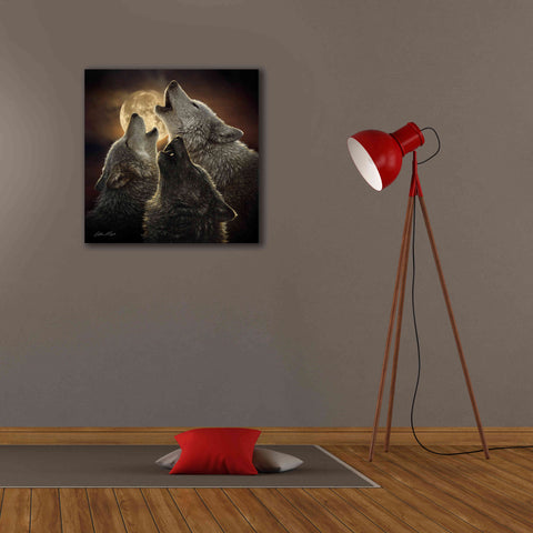 Image of 'Wolf Trinity' by Collin Bogle, Canvas Wall Art,26x26