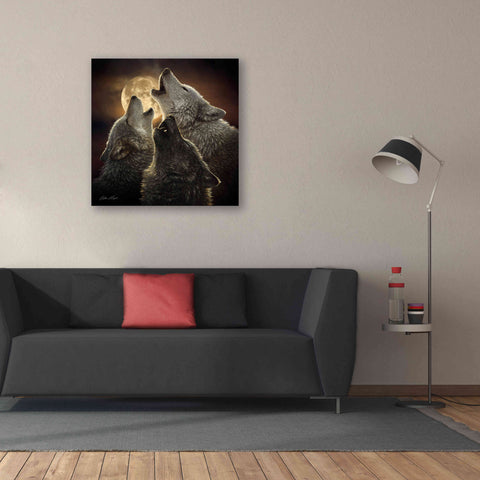 Image of 'Wolf Trinity' by Collin Bogle, Canvas Wall Art,37x37