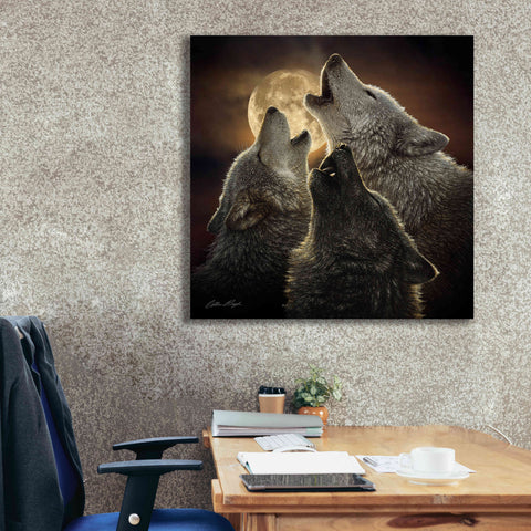 Image of 'Wolf Trinity' by Collin Bogle, Canvas Wall Art,37x37
