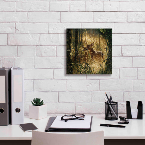 Image of 'A Golden Moment' by Collin Bogle, Canvas Wall Art,12x12