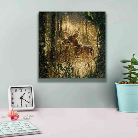 Image of 'A Golden Moment' by Collin Bogle, Canvas Wall Art,12x12
