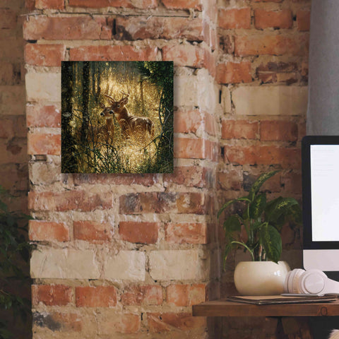 Image of 'A Golden Moment' by Collin Bogle, Canvas Wall Art,12x12