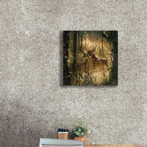 Image of 'A Golden Moment' by Collin Bogle, Canvas Wall Art,18x18