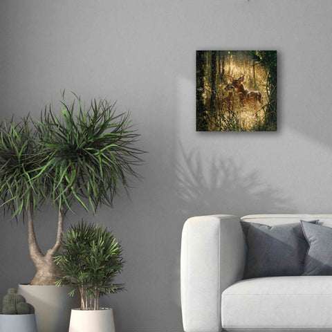 Image of 'A Golden Moment' by Collin Bogle, Canvas Wall Art,18x18