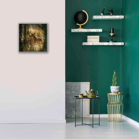 Image of 'A Golden Moment' by Collin Bogle, Canvas Wall Art,18x18