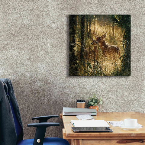 Image of 'A Golden Moment' by Collin Bogle, Canvas Wall Art,26x26