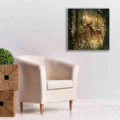 Image of 'A Golden Moment' by Collin Bogle, Canvas Wall Art,26x26