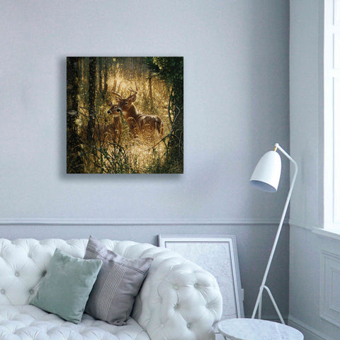 Image of 'A Golden Moment' by Collin Bogle, Canvas Wall Art,37x37
