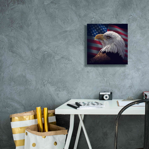 Image of 'American Bald Eagle' by Collin Bogle, Canvas Wall Art,12x12