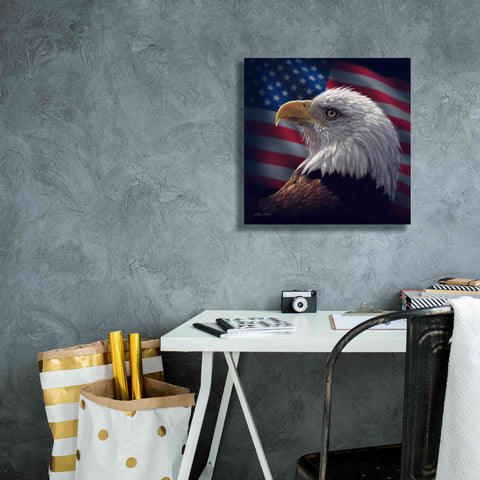 Image of 'American Bald Eagle' by Collin Bogle, Canvas Wall Art,18x18