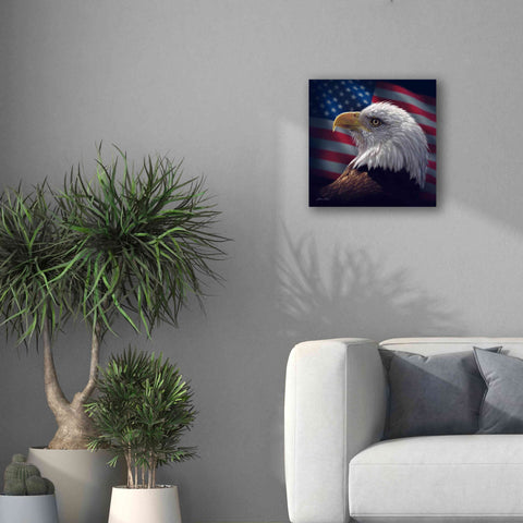 Image of 'American Bald Eagle' by Collin Bogle, Canvas Wall Art,18x18