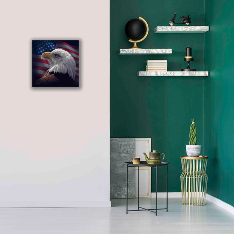 Image of 'American Bald Eagle' by Collin Bogle, Canvas Wall Art,18x18