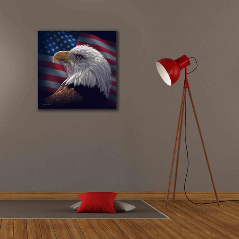 Image of 'American Bald Eagle' by Collin Bogle, Canvas Wall Art,26x26