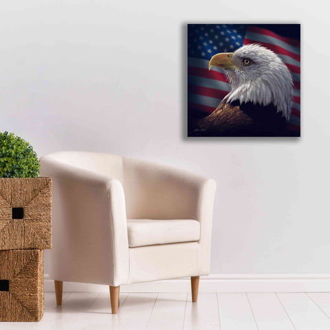 Image of 'American Bald Eagle' by Collin Bogle, Canvas Wall Art,26x26