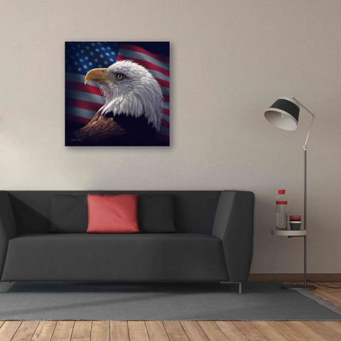 Image of 'American Bald Eagle' by Collin Bogle, Canvas Wall Art,37x37