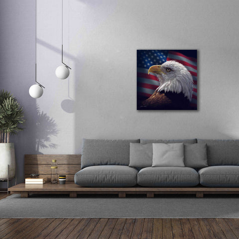 Image of 'American Bald Eagle' by Collin Bogle, Canvas Wall Art,37x37