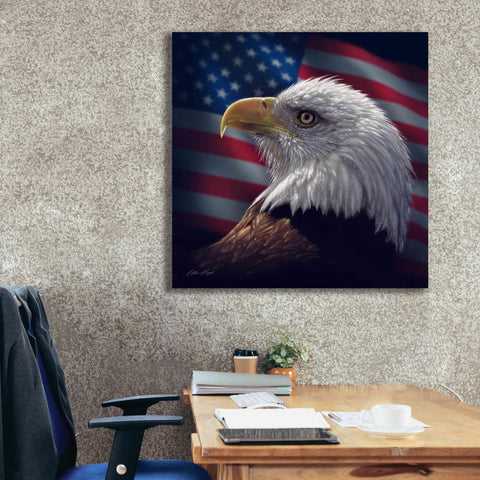 Image of 'American Bald Eagle' by Collin Bogle, Canvas Wall Art,37x37