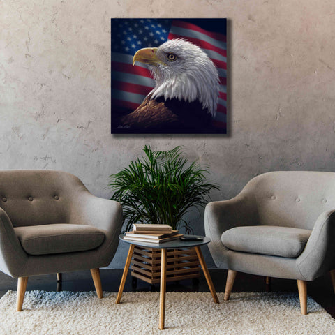 Image of 'American Bald Eagle' by Collin Bogle, Canvas Wall Art,37x37