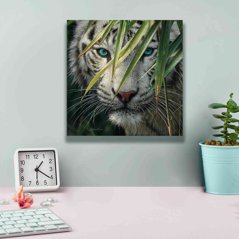 Image of 'Watching and Waiting' by Collin Bogle, Canvas Wall Art,12x12