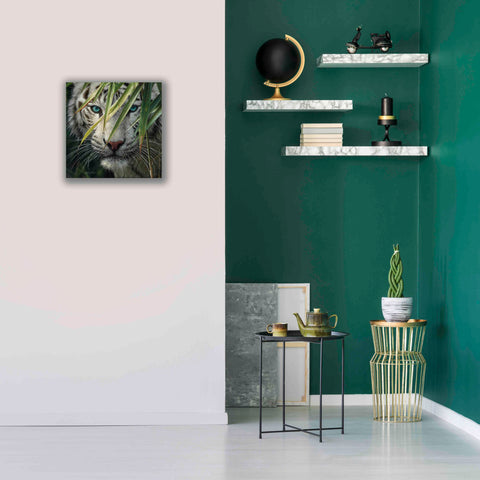 Image of 'Watching and Waiting' by Collin Bogle, Canvas Wall Art,18x18