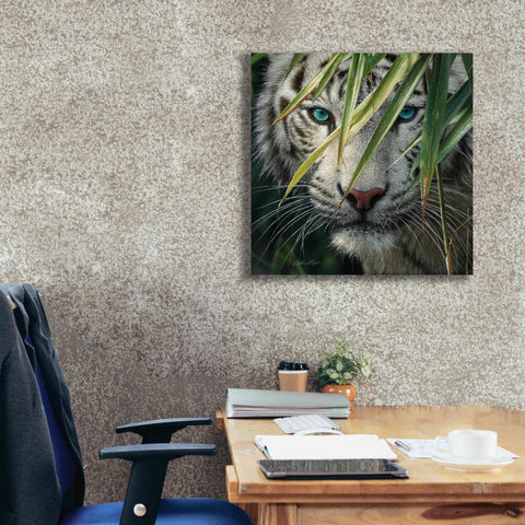 Image of 'Watching and Waiting' by Collin Bogle, Canvas Wall Art,26x26