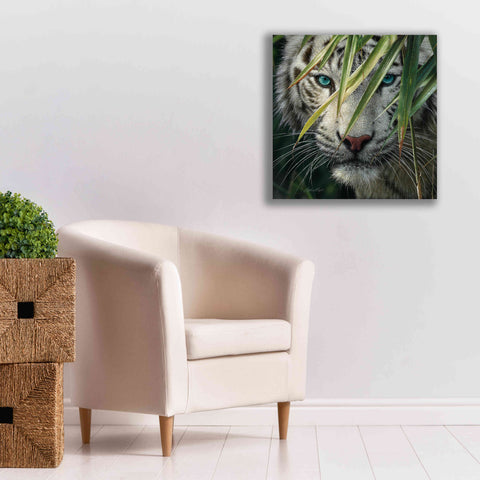 Image of 'Watching and Waiting' by Collin Bogle, Canvas Wall Art,26x26