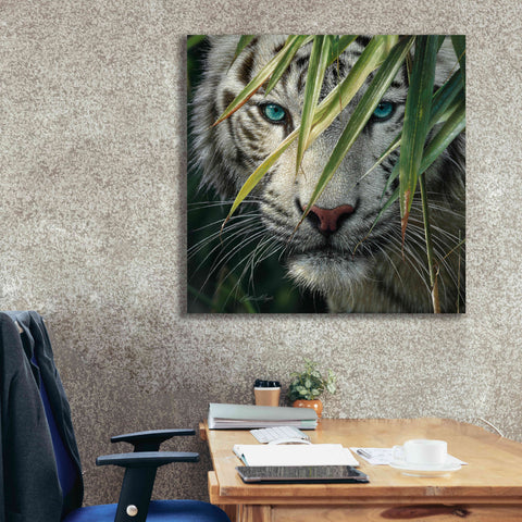 Image of 'Watching and Waiting' by Collin Bogle, Canvas Wall Art,37x37