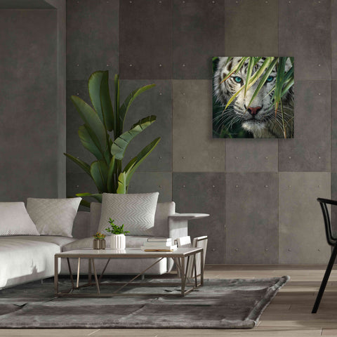 Image of 'Watching and Waiting' by Collin Bogle, Canvas Wall Art,37x37