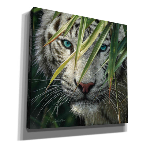 Image of 'Watching and Waiting' by Collin Bogle, Canvas Wall Art,Size 1 Square