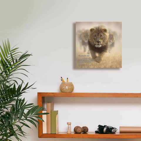 Image of 'Wicked Flee' by Collin Bogle, Canvas Wall Art,12x12