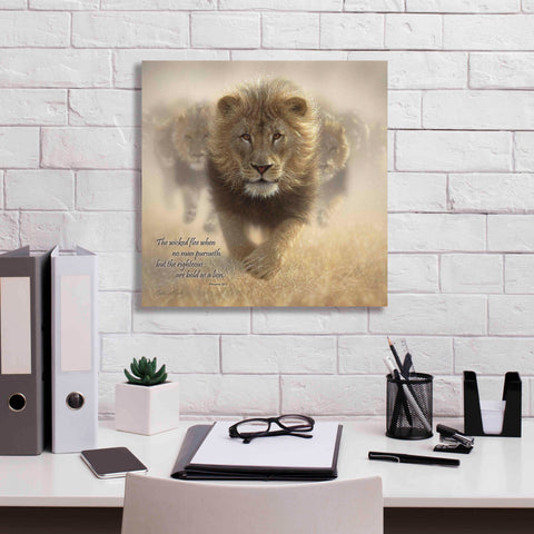 Image of 'Wicked Flee' by Collin Bogle, Canvas Wall Art,18x18