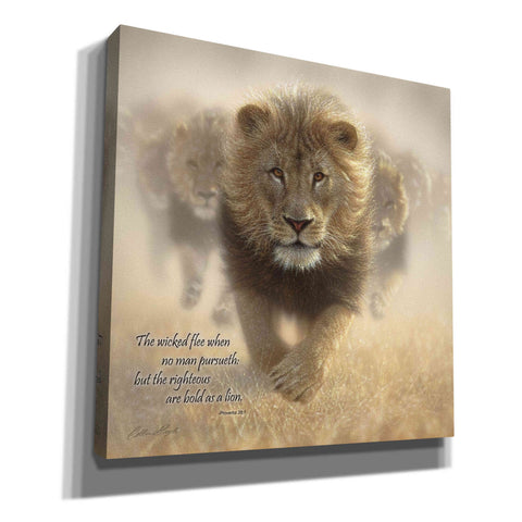 Image of 'Wicked Flee' by Collin Bogle, Canvas Wall Art,Size 1 Square