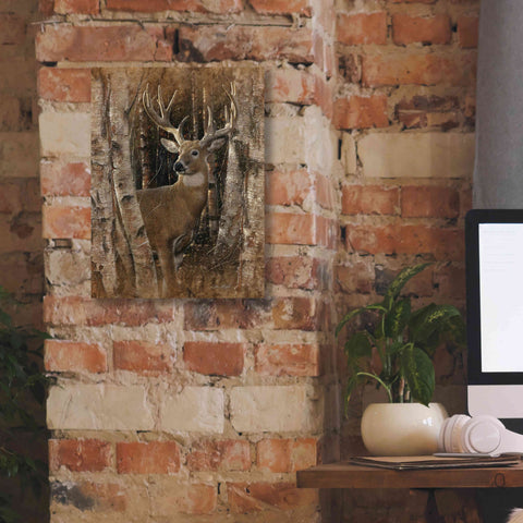 Image of 'Birchwood Buck' by Collin Bogle, Canvas Wall Art,12x16