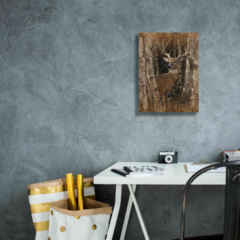 Image of 'Birchwood Buck' by Collin Bogle, Canvas Wall Art,12x16