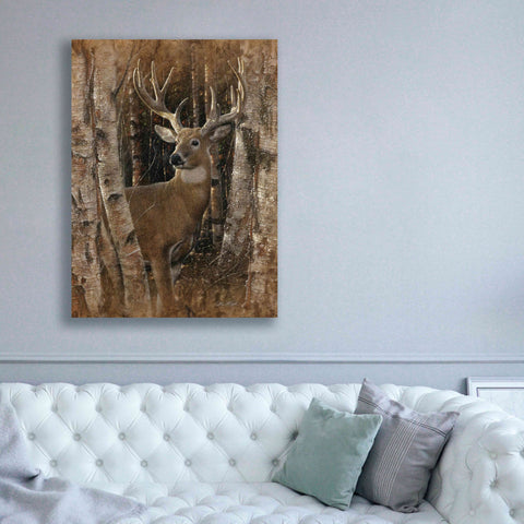 Image of 'Birchwood Buck' by Collin Bogle, Canvas Wall Art,40x54