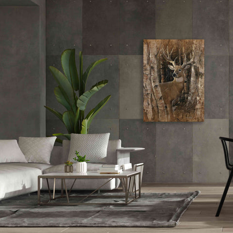 Image of 'Birchwood Buck' by Collin Bogle, Canvas Wall Art,40x54