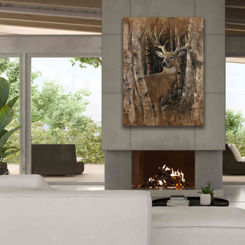 Image of 'Birchwood Buck' by Collin Bogle, Canvas Wall Art,40x54
