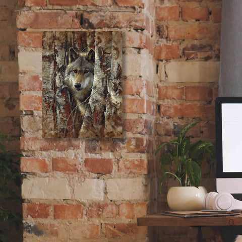 Image of 'Wood Land Spirit' by Collin Bogle, Canvas Wall Art,12x16