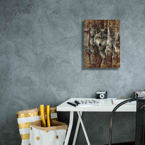 Image of 'Wood Land Spirit' by Collin Bogle, Canvas Wall Art,12x16