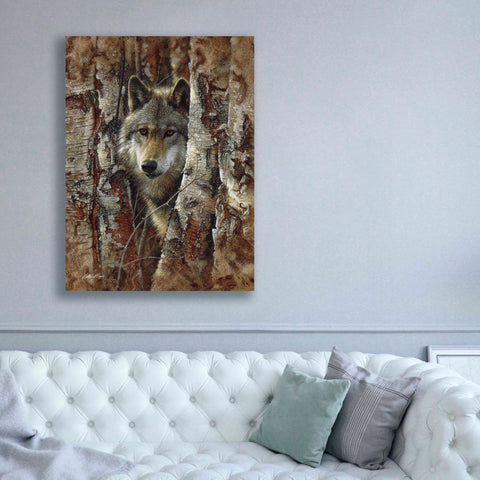 Image of 'Wood Land Spirit' by Collin Bogle, Canvas Wall Art,40x54