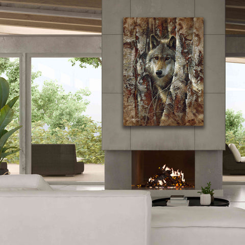 Image of 'Wood Land Spirit' by Collin Bogle, Canvas Wall Art,40x54