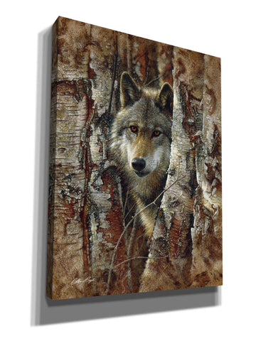 Image of 'Wood Land Spirit' by Collin Bogle, Canvas Wall Art,Size C Portrait