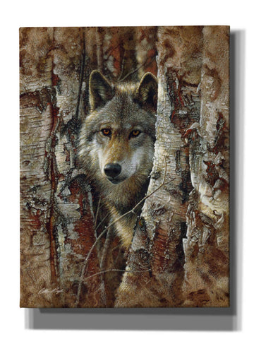 Image of 'Wood Land Spirit' by Collin Bogle, Canvas Wall Art,Size C Portrait
