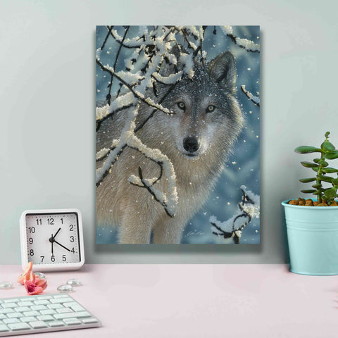 Image of 'Broken Silence' by Collin Bogle, Canvas Wall Art,12x16